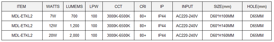 Recessed LED Track Light Model: MDL-ETKL2