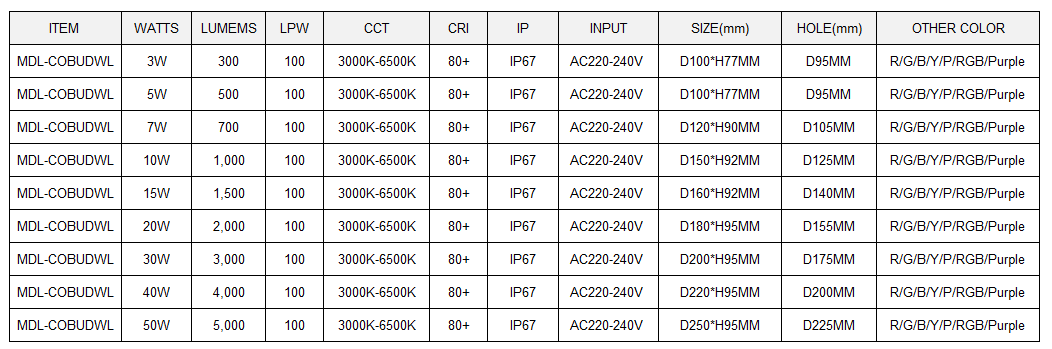 LED Inground Light Model:MDL-COBUDWL